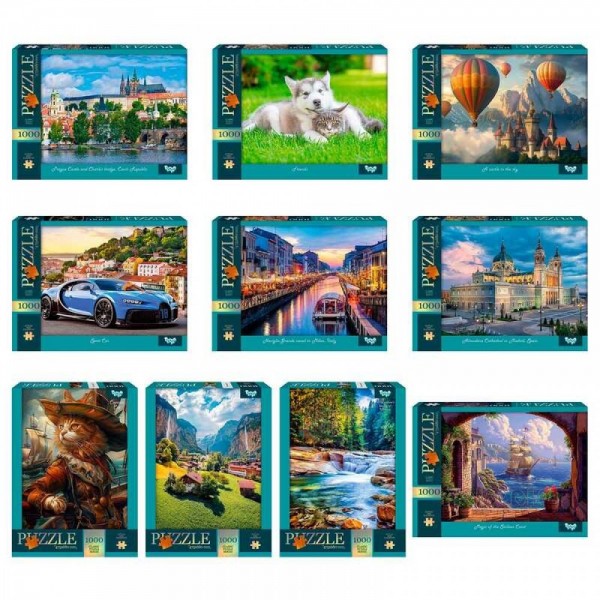 244925 Пазли 1000 ел. с.13 (10)