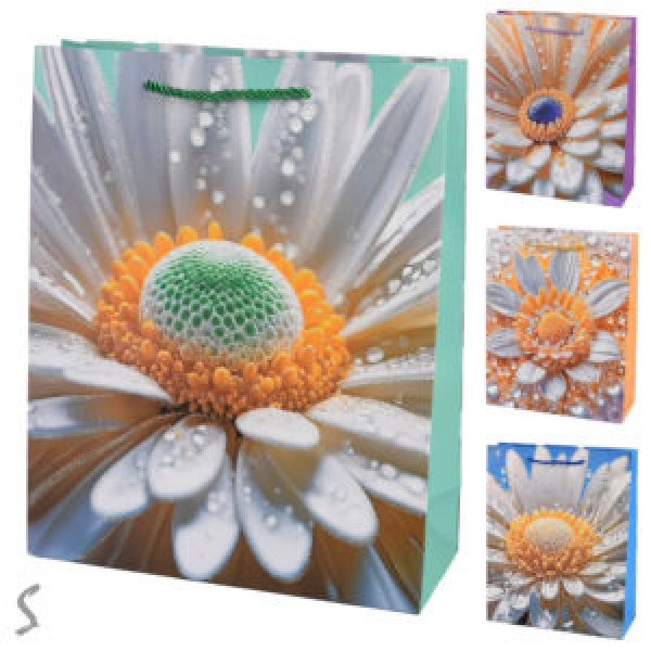 257393 Пакет подарунковий паперовий L "Camomile" 30*41.5*12см R40793-L