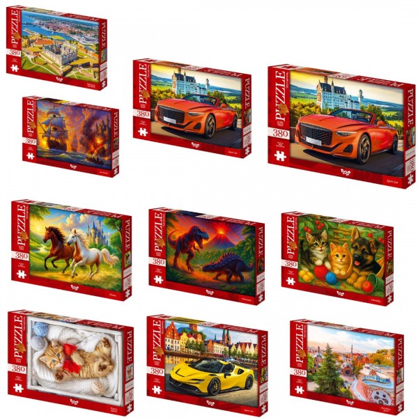 245731 Пазли 380 ел. с.7 (10)