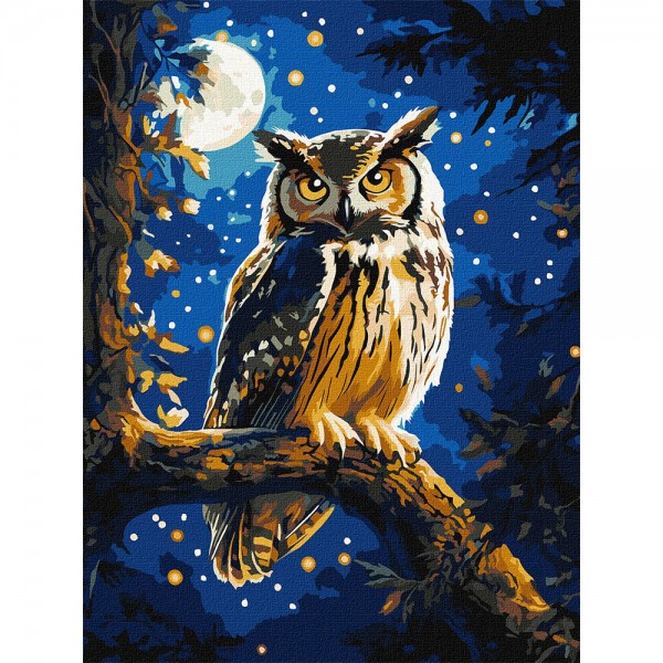 247541 Набір для розпису по номерах "Нічна сова з фарбами металік extra" 30х40см
