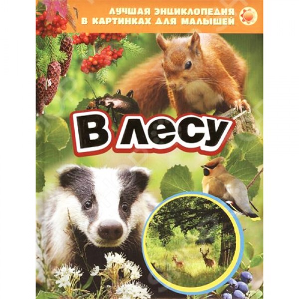 42356 Книга "У лісі (Краща енциклопедія в картинках для малюків) (рос.)"