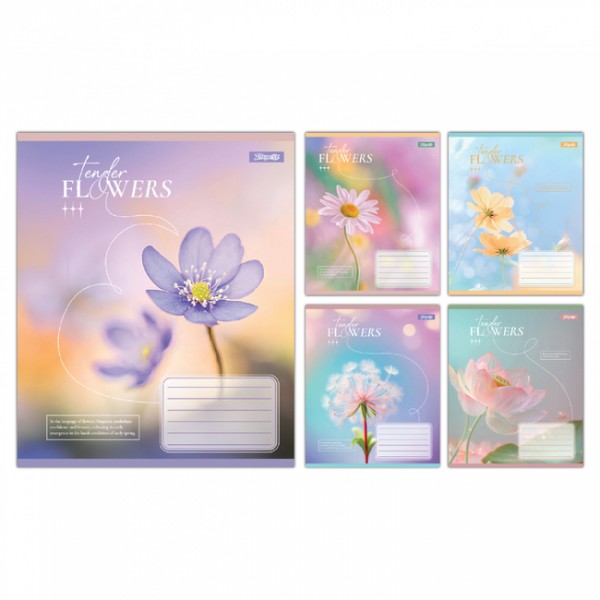 236768 А5/60 кл. 1В Tender Flowers, зошит учнівський загальний