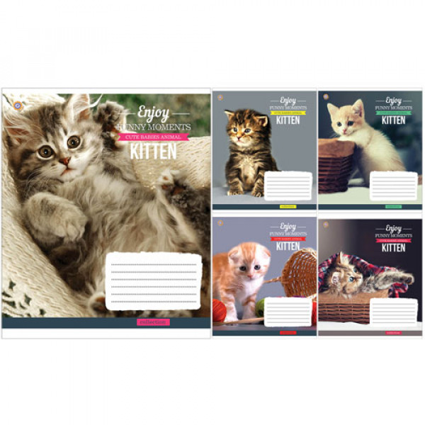 27721 А5/18 кл. ЗУ Kittens Funny Moments -17 тетрадь ученич.