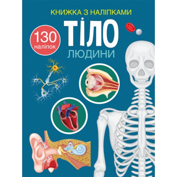 185945 Книга "Книжка з наліпками. Тіло людини"