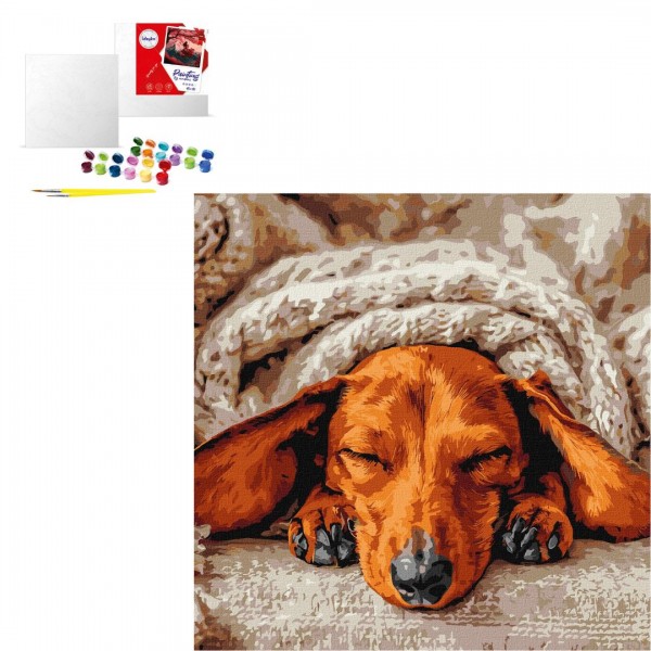 245321 Набір для розпису по номерах "Солодкий спокій" 40х40см