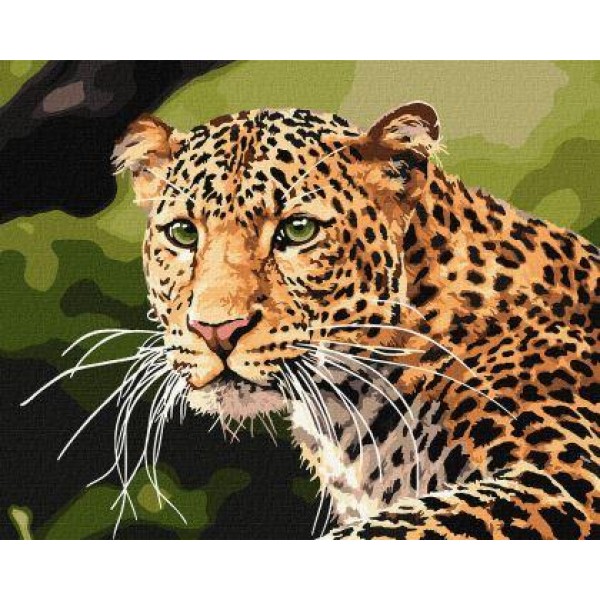 141262 Набір для розпису по номерах. "Зеленоокий леопард" 40х50см