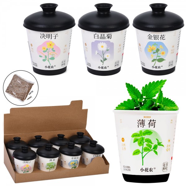 245485 Набір для творчості X2024-153 квіти у горщику,город,грунт,насіння,стакан з кришкою,8шт (4види)в дисп