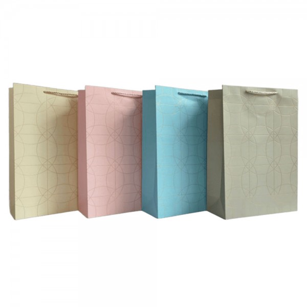 237553 Пакет 20*25*10см паперовий "Лінії свята" 12 шт в пак.